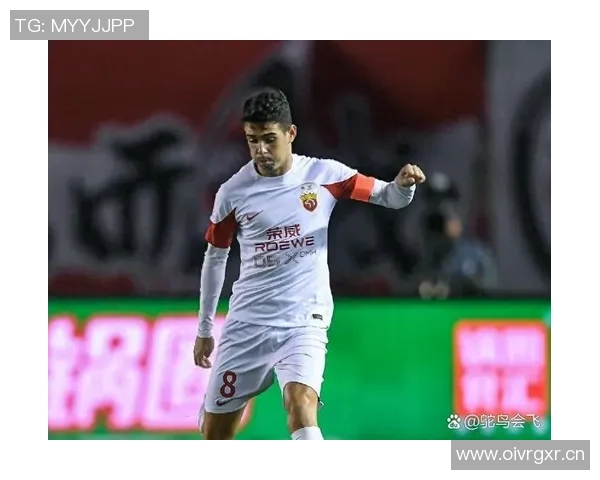 中超争冠概率分析海港开局强势第18轮跌至低谷