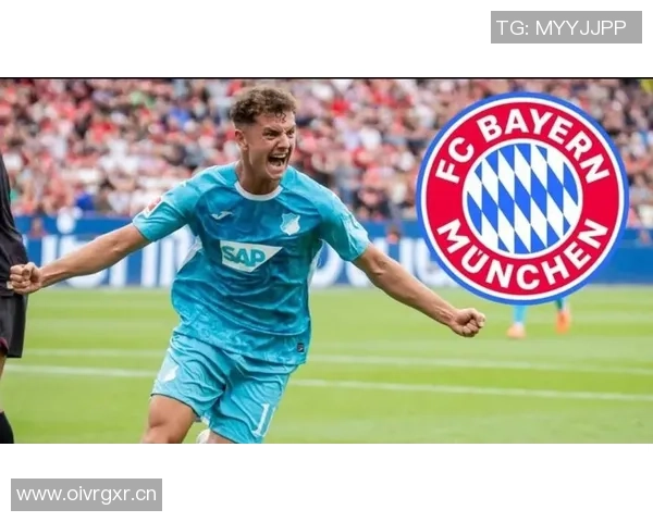 多特蒙德关注霍芬海姆前锋阿斯拉尼拜仁并不将其列为首要引援目标 多特蒙德关注霍芬海姆前锋阿斯拉尼拜仁并不将其列为首要引援目标